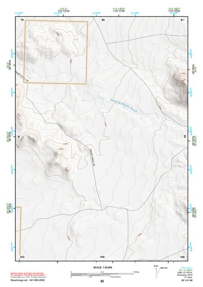 39113NE Page 92 Fish Springs Topo Preview 1