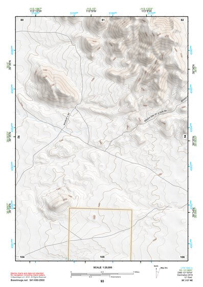 39113NE Page 93 Fish Springs Topo Preview 1