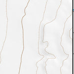 39113NE Page 98 Fish Springs Topo Preview 3