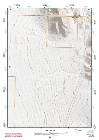 39113NE Page 99 Fish Springs Topo Preview 1