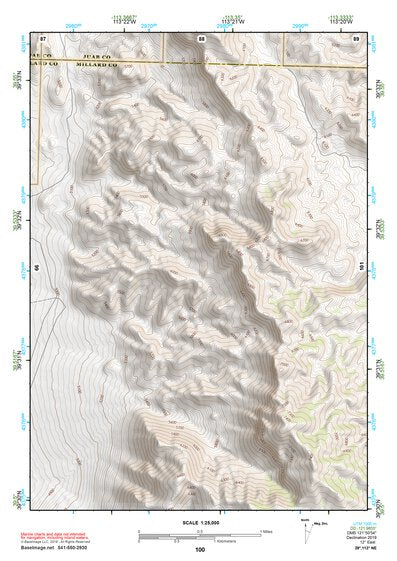39113NE Page 100 Fish Springs Topo Preview 1