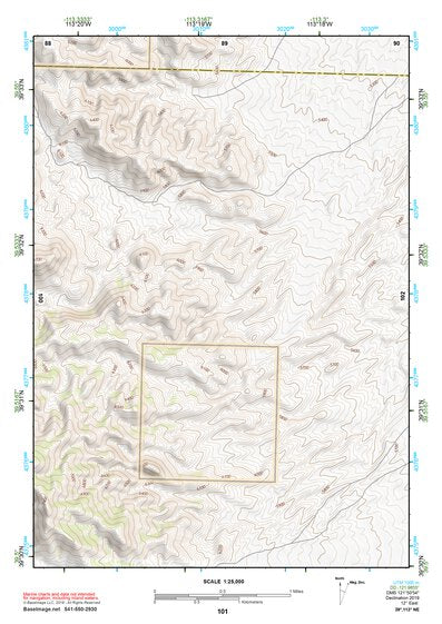 39113NE Page 101 Fish Springs Topo Preview 1