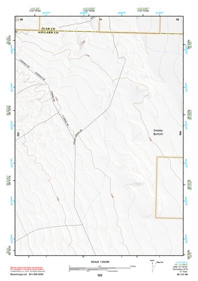 39113NE Page 103 Fish Springs Topo Preview 1