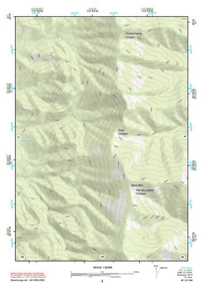 39113NW Page 3 Fish Springs Topo Preview 1
