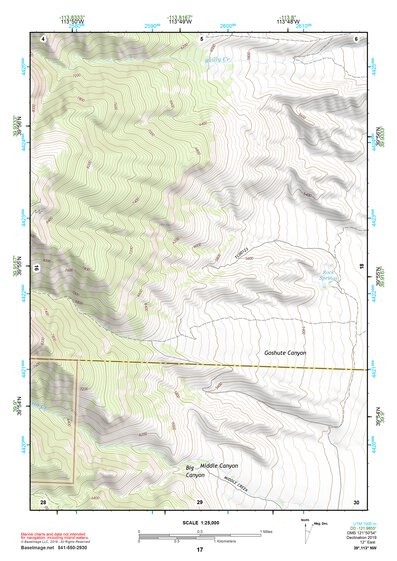 39113NW Page 17 Fish Springs Topo Preview 1
