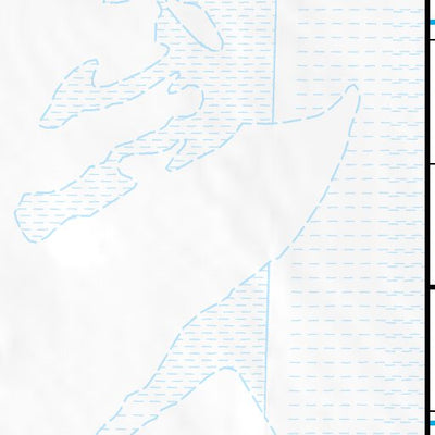 39113NW Page 24 Fish Springs Topo Preview 3