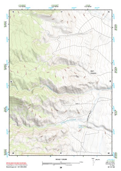 39113NW Page 29 Fish Springs Topo Preview 1