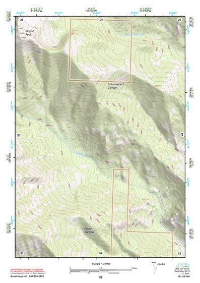39113NW Page 39 Fish Springs Topo Preview 1