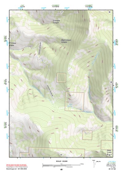 39113NW Page 49 Fish Springs Topo Preview 1