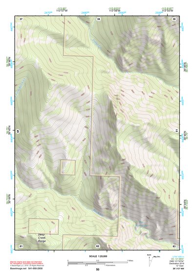 39113NW Page 50 Fish Springs Topo Preview 1