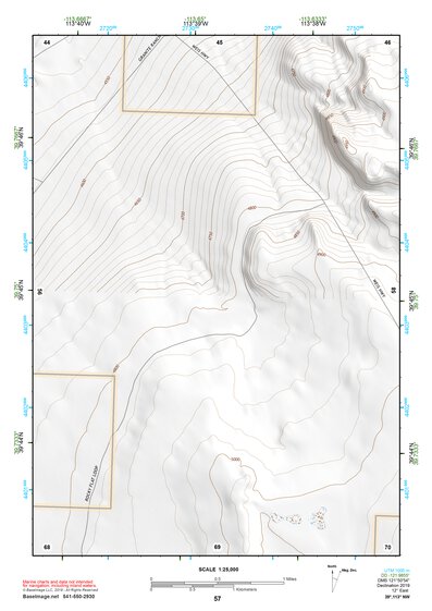 39113NW Page 57 Fish Springs Topo Preview 1