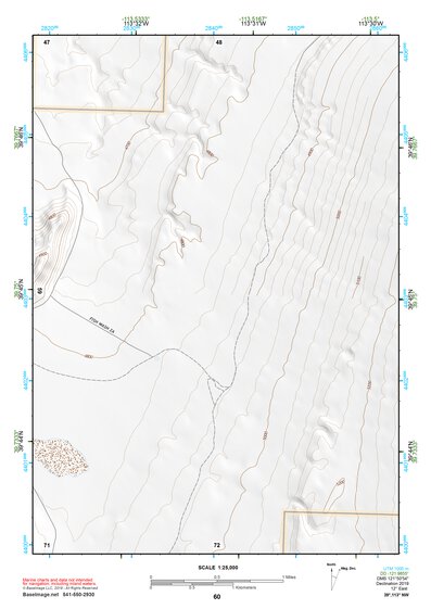 39113NW Page 60 Fish Springs Topo Preview 1