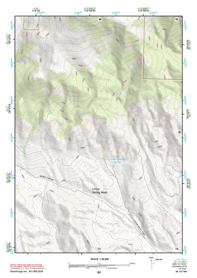 39113NW Page 61 Fish Springs Topo Preview 1
