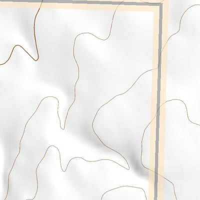 39113NW Page 69 Fish Springs Topo Preview 2