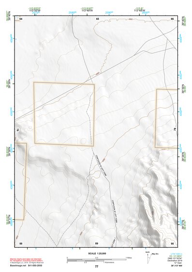 39113NW Page 77 Fish Springs Topo Preview 1