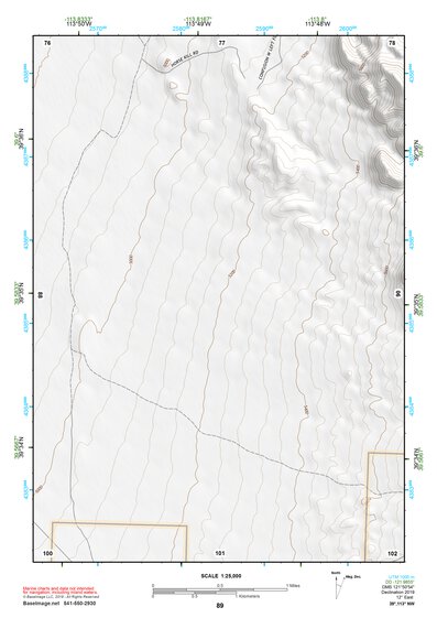 39113NW Page 89 Fish Springs Topo Preview 1