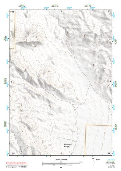 39113NW Page 91 Fish Springs Topo Preview 1
