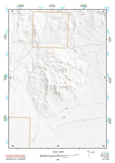 39113NW Page 93 Fish Springs Topo Preview 1