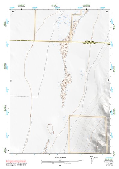 39113NW Page 99 Fish Springs Topo Preview 1