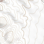 39113NW Page 103 Fish Springs Topo Preview 2