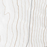 39113SE Page 3 Tule Valley Topo Preview 2