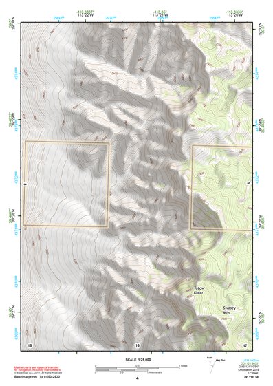 39113SE Page 4 Tule Valley Topo Preview 1