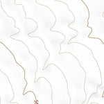 39113SE Page 7 Tule Valley Topo Preview 3