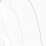 39113SE Page 8 Tule Valley Topo Preview 2