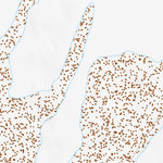 39113SE Page 14 Tule Valley Topo Preview 3