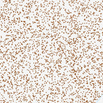 39113SE Page 38 Tule Valley Topo Preview 3