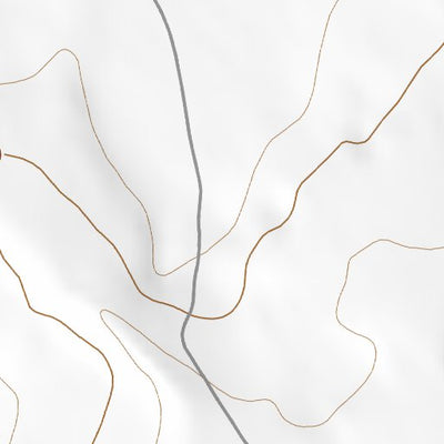 39113SE Page 60 Tule Valley Topo Preview 3