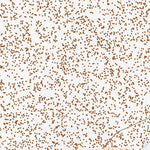 39113SW Page 3 Tule Valley Topo Preview 3