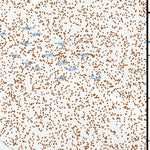 39113SW Page 14 Tule Valley Topo Preview 3