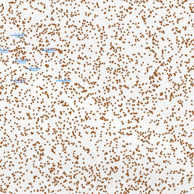 39113SW Page 15 Tule Valley Topo Preview 3