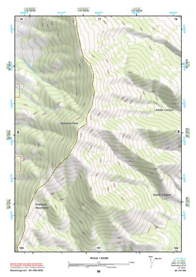 39115NW Page 89 Newark Lake Topo Preview 1