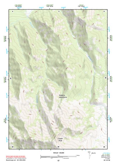 39116NE Page 17 Simpson Park Mountains Topo Preview 1