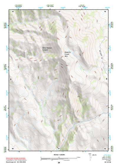 39116NE Page 29 Simpson Park Mountains Topo Preview 1