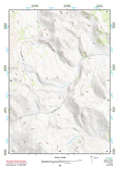 39116NE Page 30 Simpson Park Mountains Topo Preview 1