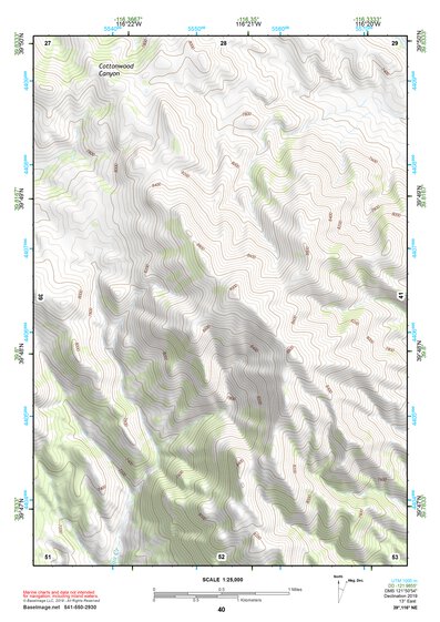 39116NE Page 40 Simpson Park Mountains Topo Preview 1