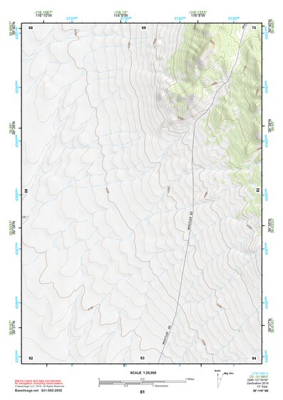 39116NE Page 81 Simpson Park Mountains Topo Preview 1