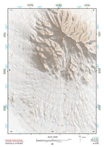 39116NE Page 90 Simpson Park Mountains Topo Preview 1