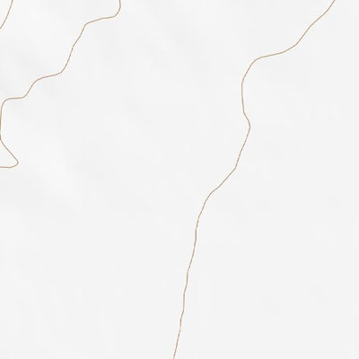 39116NW Page 43 Simpson Park Mountains Topo Preview 2