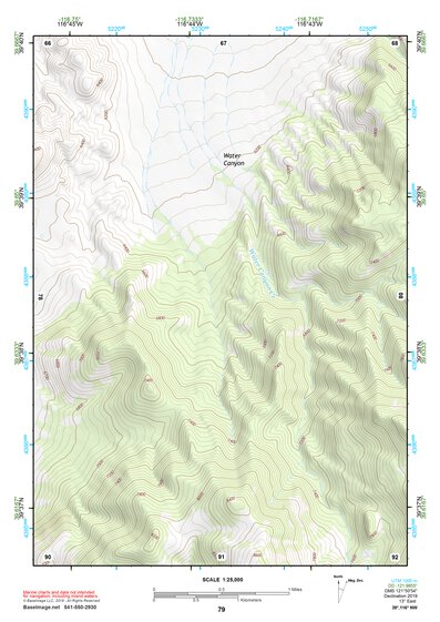39116NW Page 79 Simpson Park Mountains Topo Preview 1