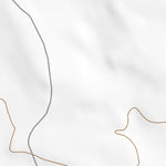 39116NW Page 84 Simpson Park Mountains Topo Preview 2