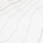 39116NW Page 105 Simpson Park Mountains Topo Preview 3