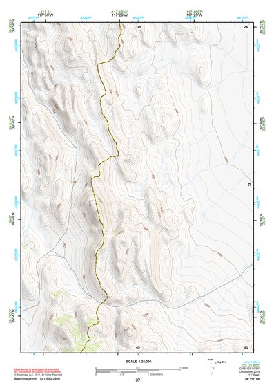 39117NE Page 37 Edwards Creek Valley Topo Preview 1