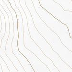 39117NE Page 50 Edwards Creek Valley Topo Preview 2