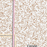 39118NE Page 14 Carson Sink Topo Preview 2