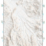 39118NE Page 21 Carson Sink Topo Preview 1