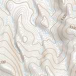 39118NE Page 21 Carson Sink Topo Preview 3